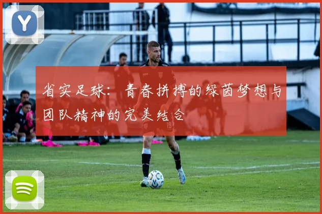 省实足球：青春拼搏的绿茵梦想与团队精神的完美结合