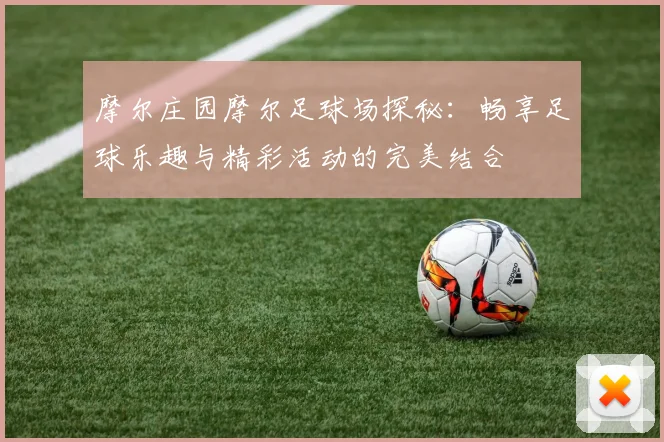 摩尔庄园摩尔足球场探秘：畅享足球乐趣与精彩活动的完美结合