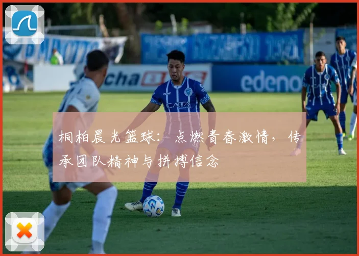 桐柏晨光篮球：点燃青春激情，传承团队精神与拼搏信念