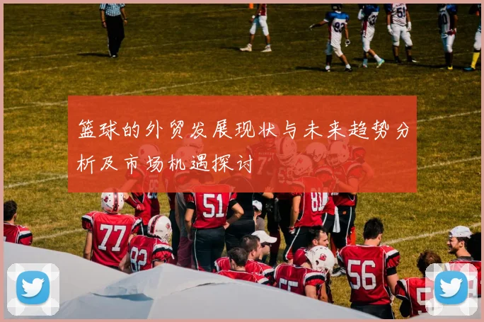 篮球的外贸发展现状与未来趋势分析及市场机遇探讨