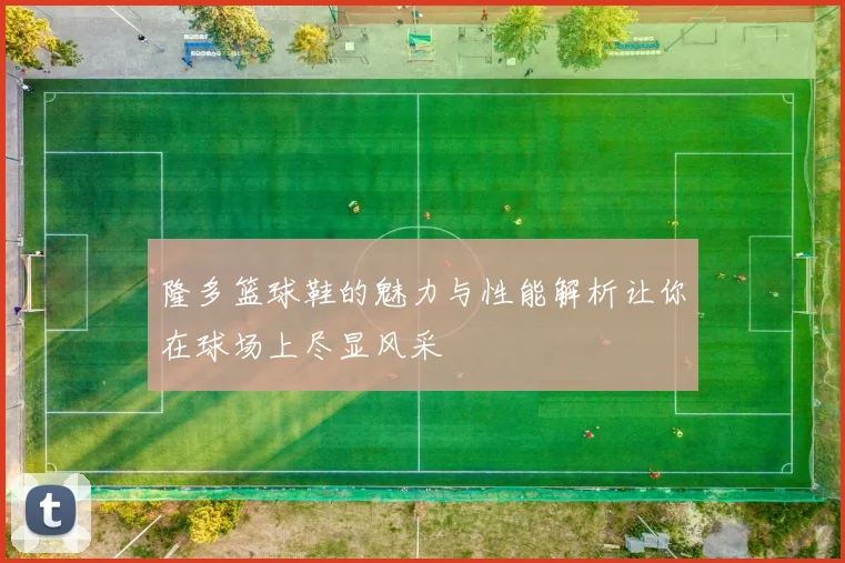 隆多篮球鞋的魅力与性能解析让你在球场上尽显风采