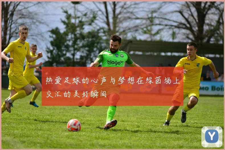 热爱足球的心声与梦想在绿茵场上交汇的美好瞬间