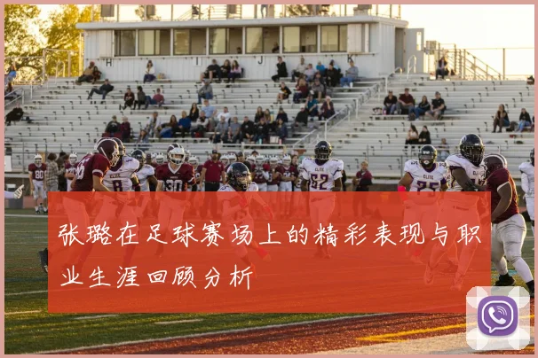 张璐在足球赛场上的精彩表现与职业生涯回顾分析